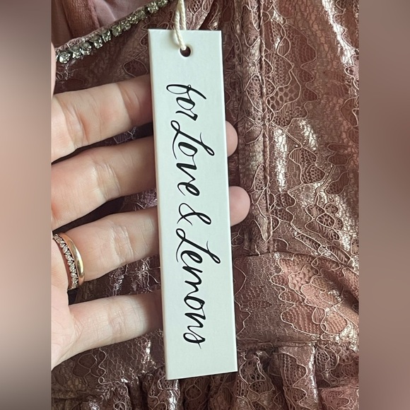 For Love and Lemons Shai Lace Gown in Blush Pink with Rhinestone Detail NWT - Picture 13 of 16